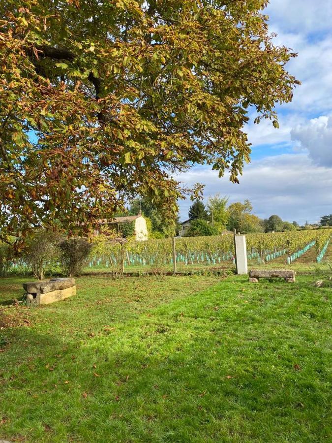 Le Jardin Dans Les Vignes Barsac (Gironde) Exterior foto