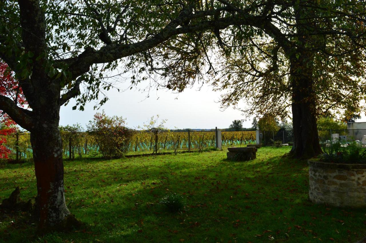 Le Jardin Dans Les Vignes Barsac (Gironde) Exterior foto