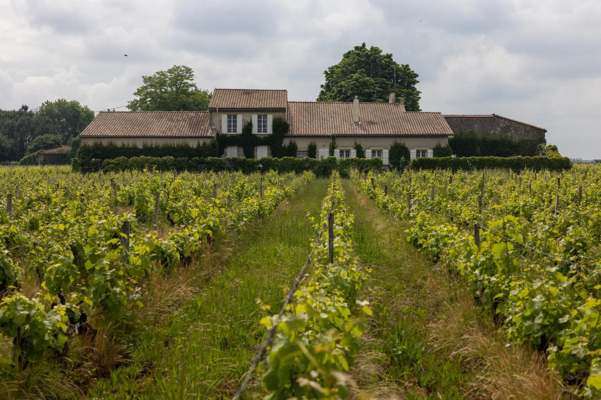 Le Jardin Dans Les Vignes Barsac (Gironde) Exterior foto